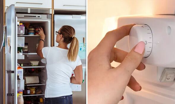 Refrigerator Tips in summer: भीषण गर्मी में फ्रिज का टेंपरेचर कितना करें सेट, इस तरीके से करें सेटिंग