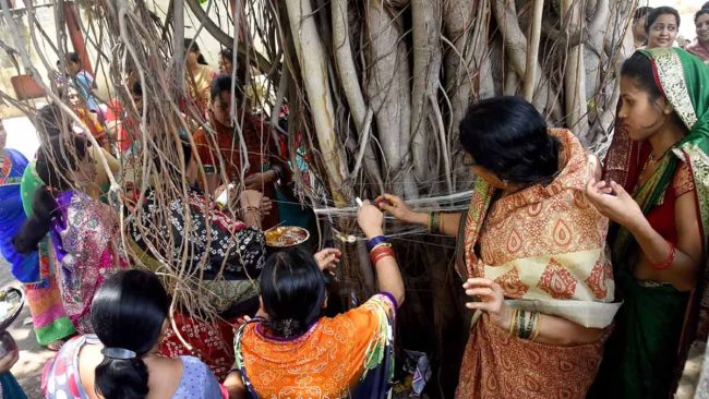 Vat Savitri 2024: क्या है वट सावित्री का महत्व? क्यों की जाती है बरगद के पेड़ की पूजा?