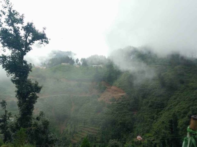  Dhanaulti: धनौल्टी हिल स्‍टेशन जन्‍नत से नहीं कम, कम बजट में घूमने की अदभुत जगह