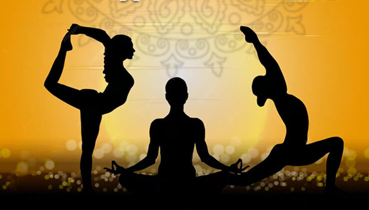 Yoga Day 2024: योगा डे पर करें ये 10 योग, शरीर रहेगा निरोग, फिट रहेगा शरीर
