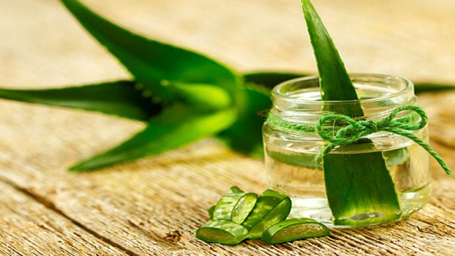 Aloe vera oil for Hair: एलाेवेरा ऑयल बालों पर करता है कमाल का काम, बनाएं काला,घना और सुंदर