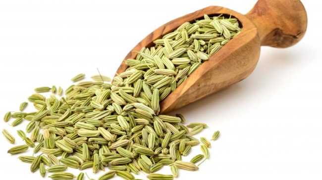 Fennel Seeds Benefits: सौंफ में है इतने गुण, जानकर हो जाएंगे हैरान,आज ही डाइट में करें शामिल