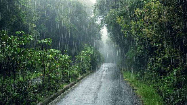 AC in monsoon: मानसून में कैसे चलाएं एसी, पहले जान लें ये जरूरी बातें, एसी नहीं हाेगा खराब