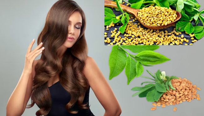 Curry Leaves For Hair: करी पत्ता और मेथी का हेयर पैक बालों पर करता है जादू, देख कर हो जाएंगे हैरान