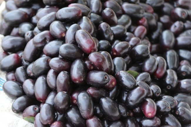 Benefits for Jamun: जामुन जो बना भारत की पहचान, सेहत के लिए है वरदान