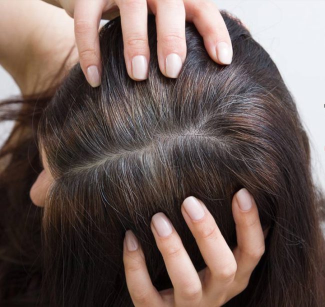 Hair Gray in Young Age: कम उम्र में हो रहे बाल सफेद, ये 5 चीजें करें खाने में शामिल, मिलेगी समस्‍या से निजात