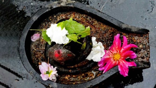 5 Things of Sawan: महादेव को प्रसन्न करने के लिए सावन के पहले सोमवार को लाएं घर में ये 5 चीजें