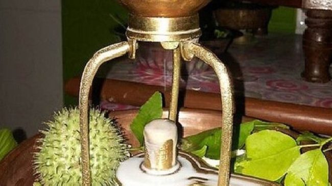 Bhang and Dhatura: भगवान भोलेनाथ को क्यों पसंद है भांग और धतूरा? क्‍या है महत्‍व