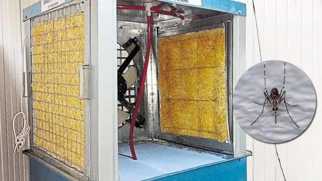 Clean Cooler Tips: बारिश में कूलर की ऐसे करें सफाई, नहीं तो पानी में पनप जाएंगे बीमार करने वाले मच्‍छर 