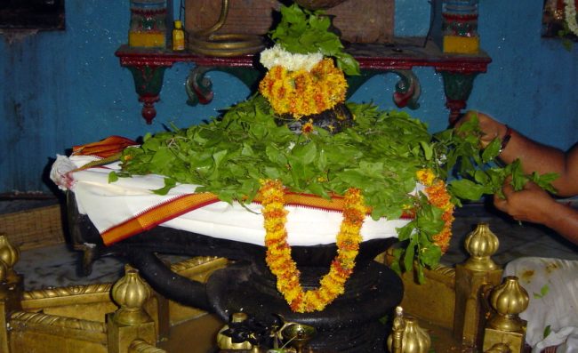 Bilvashtakam Stotra: सावन में करना है भगवान शंकर को प्रसन्‍न, तो करें बिल्वाष्टकम् स्तोत्र का पाठ, हर मनोकामना होगी पूरी