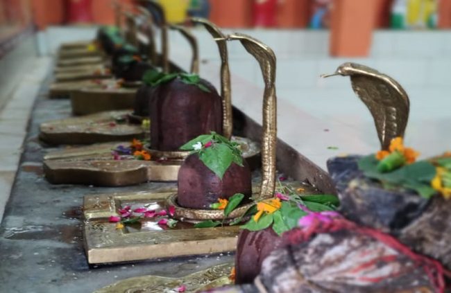  Nag Panchami 2024: सावन की पंचमी को ही क्‍यों मनाते हैं नागपंचमी? क्‍या है इस दिन का महत्‍व