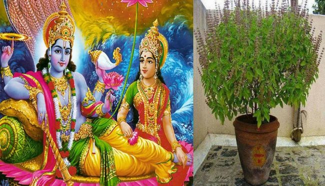 Kartik month 2024: शुरू हुआ साधकों की उपासना का कार्तिक मास, जब भगवान विष्‍णु करते हैं जल में निवास