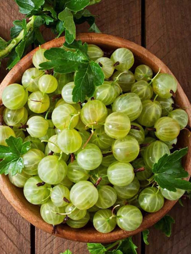 सर्दियों में रोज खाएं आंवला, बीमारी नहीं फटकेगी पास