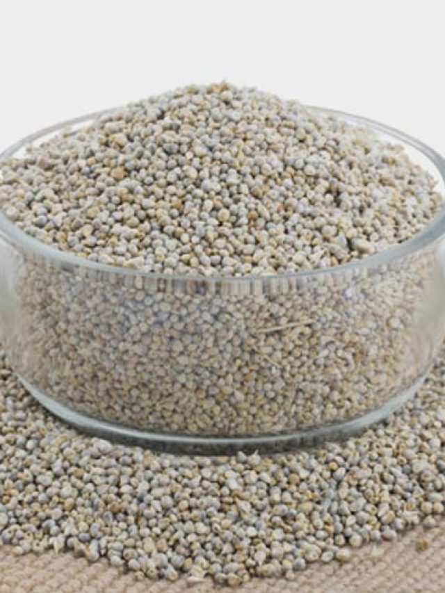 सर्दियों में नहीं पड़ना बीमार तो गेहूं के जगह खाएं बाजरे की रोटी